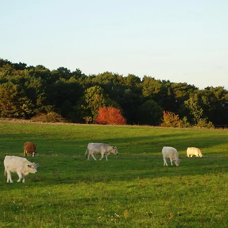 Alter Schulgarten Lejlighed
