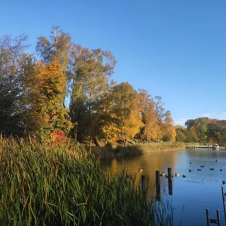 Alter Schulgarten 公寓 洛丁